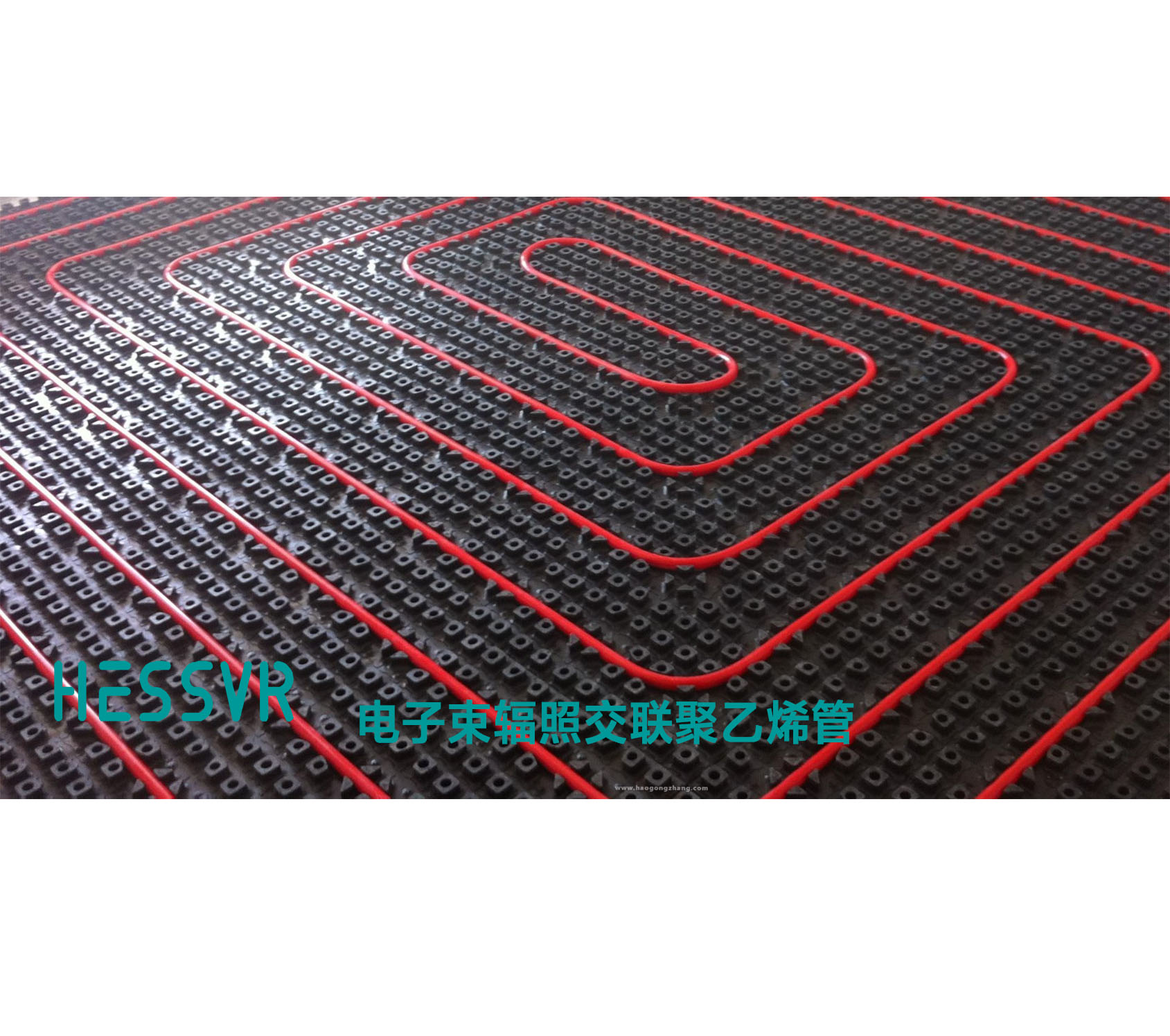 1684308996693105.jpg 未命名 -1.jpg