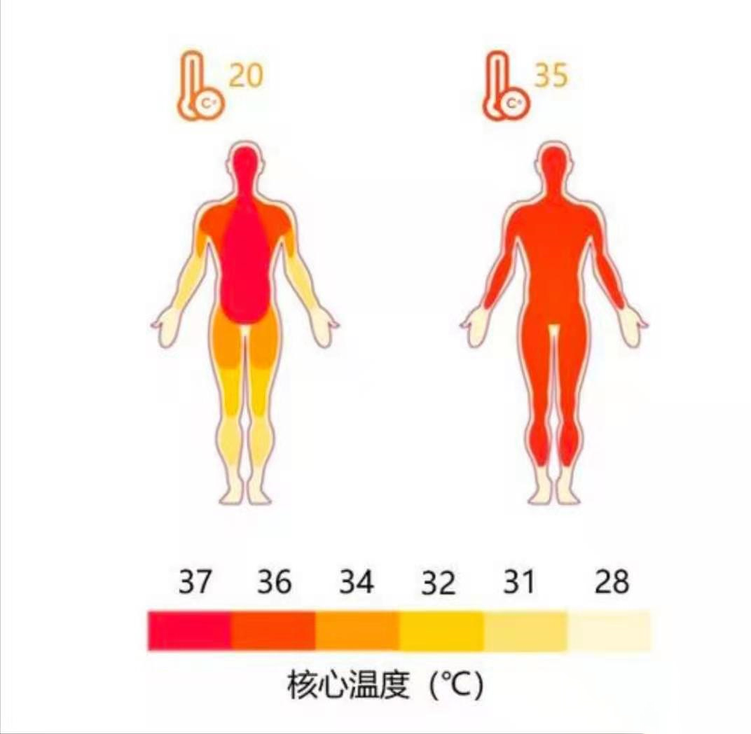 a459a5dcbd861d02d412095e7c347c52.jpg